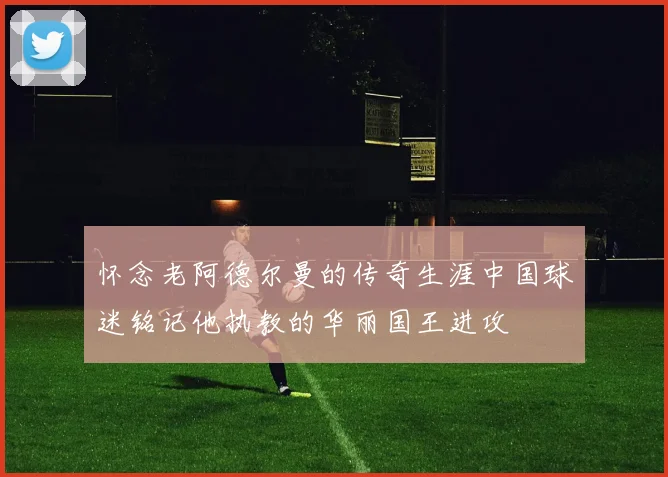 怀念老阿德尔曼的传奇生涯中国球迷铭记他执教的华丽国王进攻